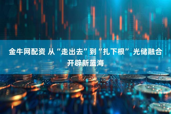 金牛网配资 从“走出去”到“扎下根” 光储融合开辟新蓝海