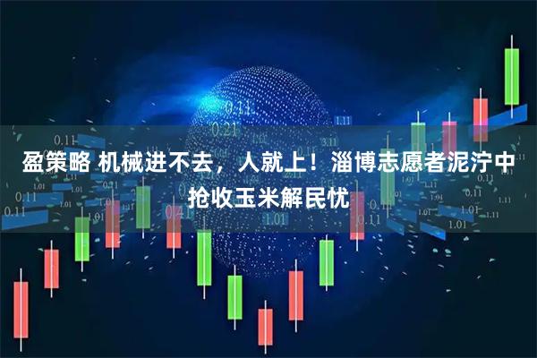 盈策略 机械进不去，人就上！淄博志愿者泥泞中抢收玉米解民忧