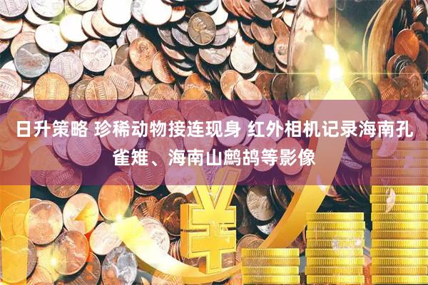 日升策略 珍稀动物接连现身 红外相机记录海南孔雀雉、海南山鹧鸪等影像