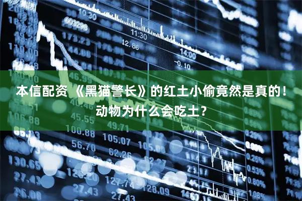 本信配资 《黑猫警长》的红土小偷竟然是真的！动物为什么会吃土？